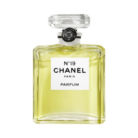 chanel 19 perfume shop|chanel 19 perfume review.